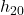 h_{20}