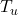  T_u 