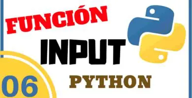 funcion input en python