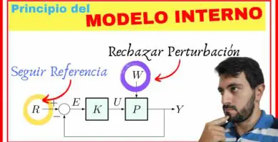 Principio de Modelo Interno